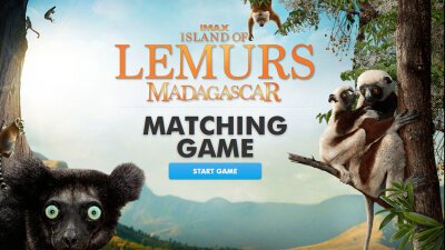 Island of Lemurs - Matching Game